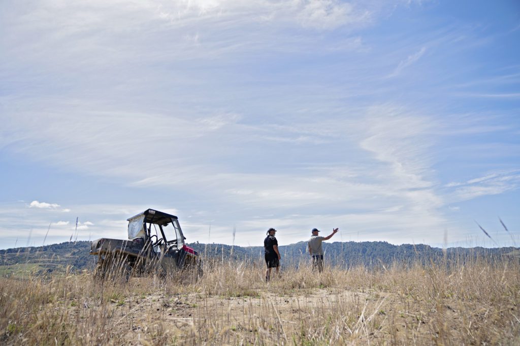 Solar farm opportunity NZ Tūmanako Rānui