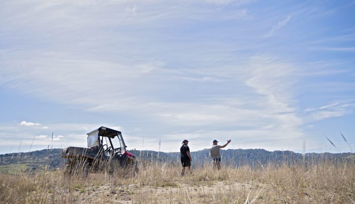 Solar farm opportunity NZ Tūmanako Rānui